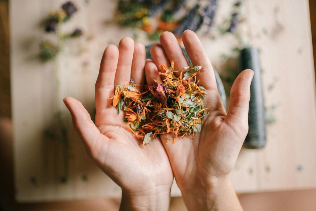 naturopathy Person Holding Herbs and Spices