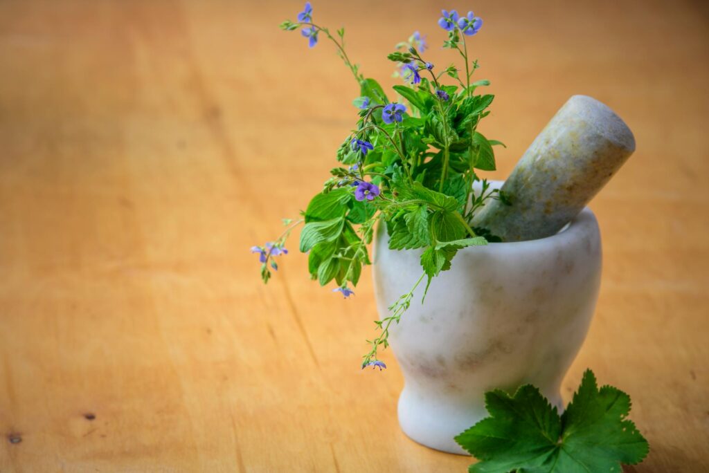 Purple Petaled Flowers in Mortar and Pestle Naturopathy