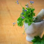 Purple Petaled Flowers in Mortar and Pestle Naturopathy